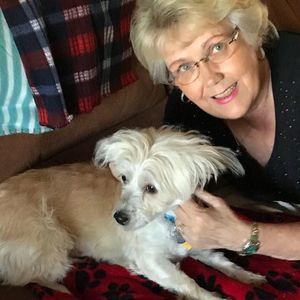 Meet your Posher, Dandee